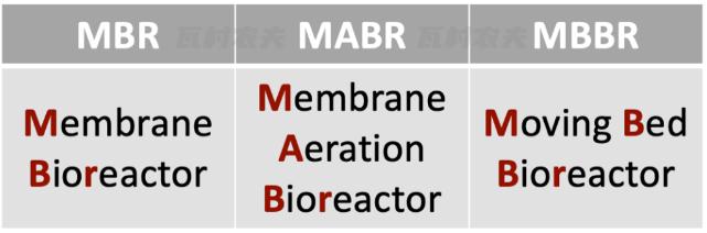 ��ҳ|MG������Ե��Ϸ�������